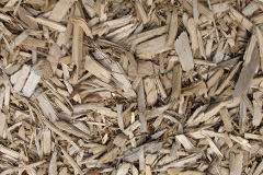biomass boilers Torsonce Mains